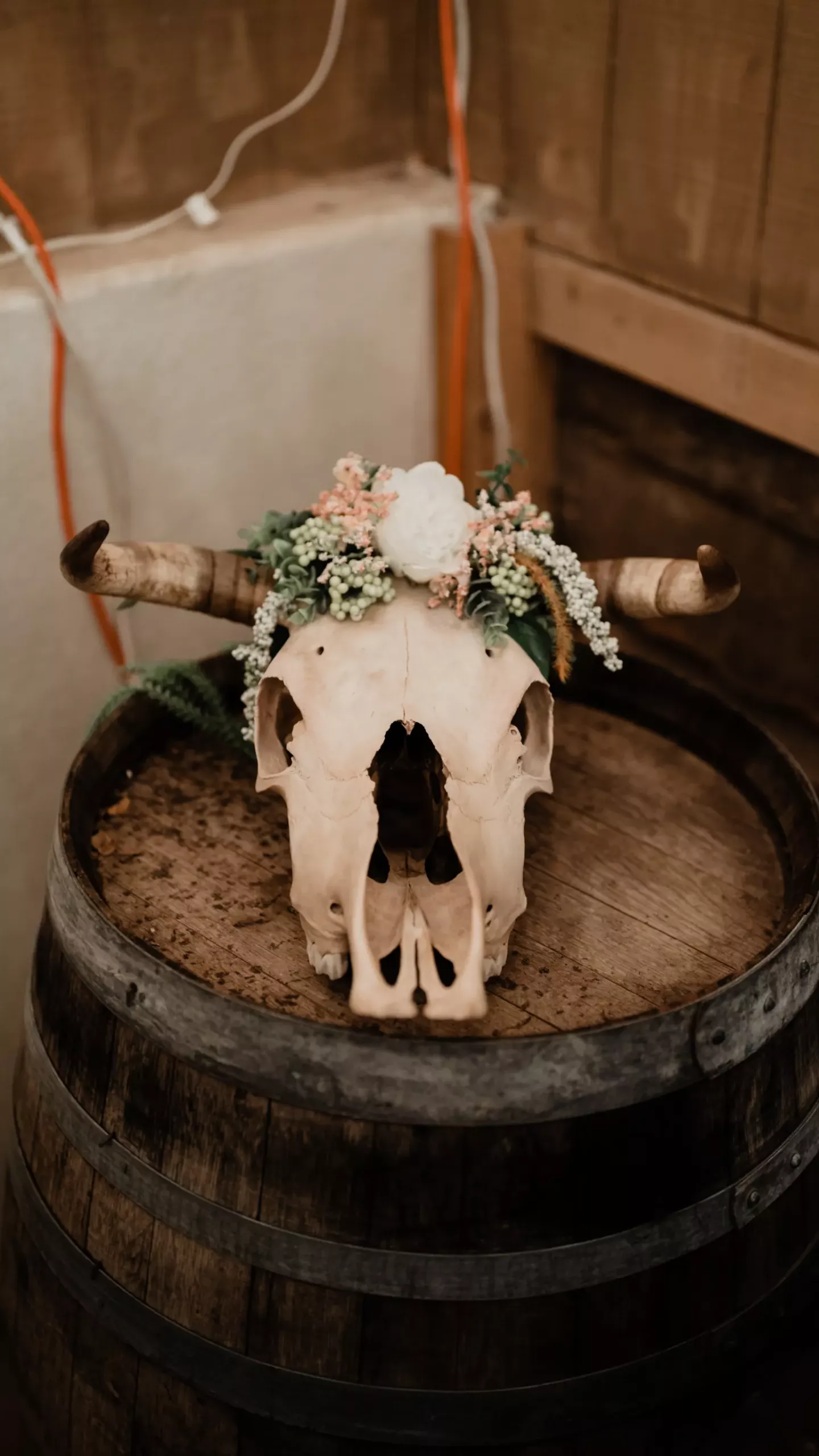 1 prescott scottsdale desert wedding vibes cactus