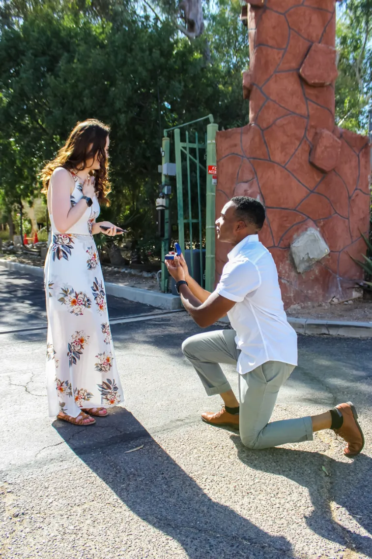 5 prescott scottsdale desert wedding vibes cactus 5 prescott scottsdale desert wedding vibes cactus