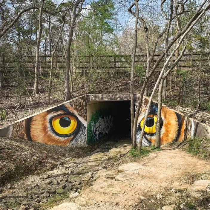 Anat Ronen @anatronen1971 Houston Arboretum Anat Ronen @anatronen1971 Houston Arboretum