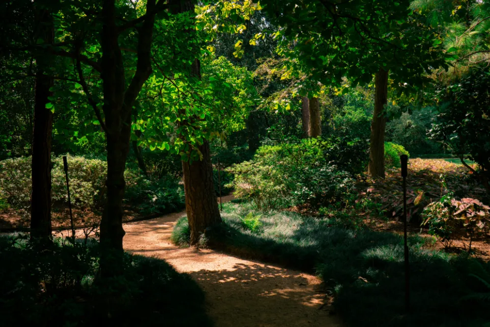 Bayou Bend Collection and Gardens Memorial Drive forest gardens Bayou Bend Collection and Gardens Memorial Drive forest gardens