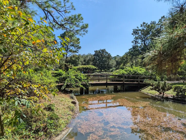 the bridge at hermann park the bridge at hermann park